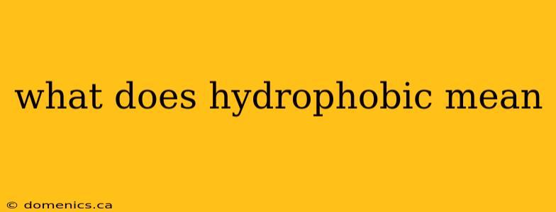 what does hydrophobic mean