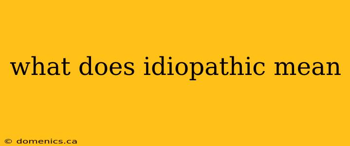 what does idiopathic mean