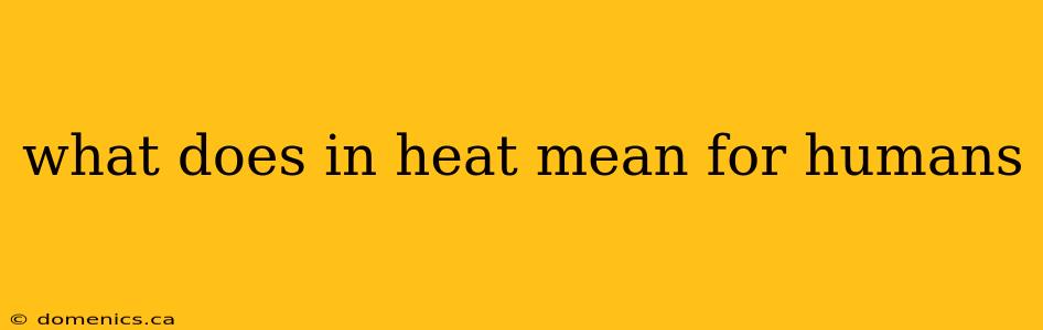 what does in heat mean for humans