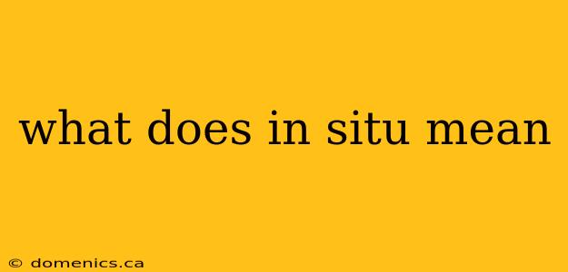 what does in situ mean