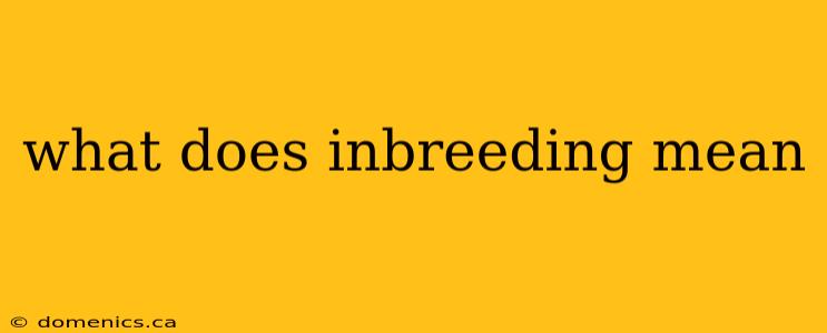 what does inbreeding mean