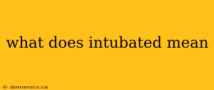 what does intubated mean