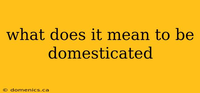 what does it mean to be domesticated