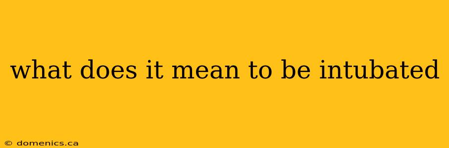 what does it mean to be intubated