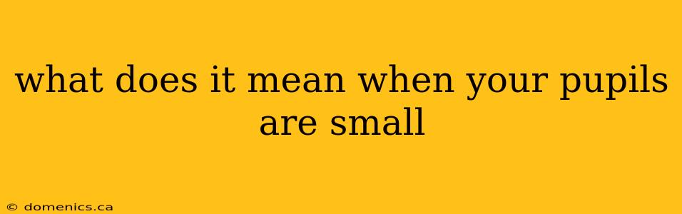 what does it mean when your pupils are small