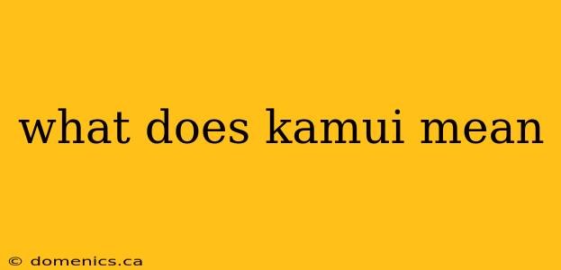 what does kamui mean