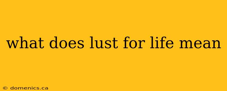 what does lust for life mean