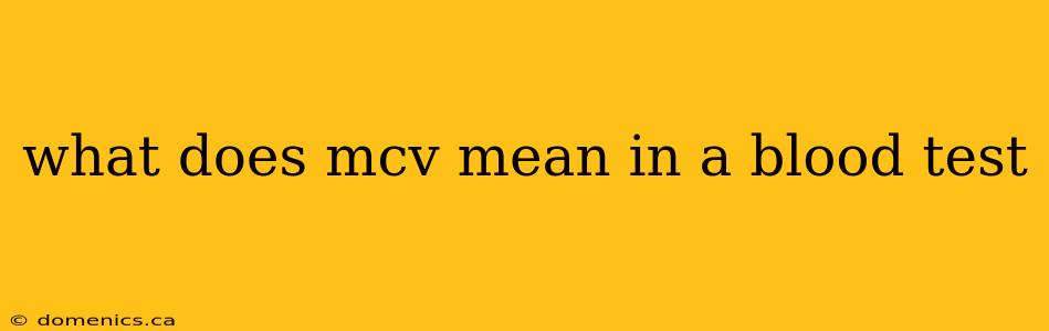 what does mcv mean in a blood test