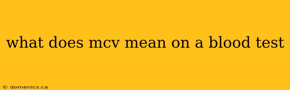 what does mcv mean on a blood test