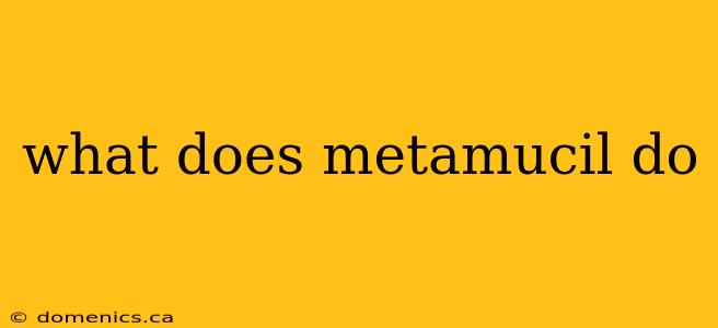 what does metamucil do