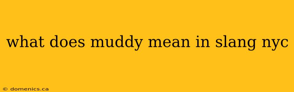 what does muddy mean in slang nyc