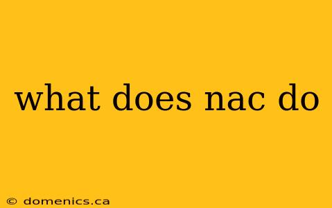 what does nac do