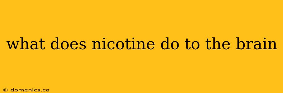 what does nicotine do to the brain