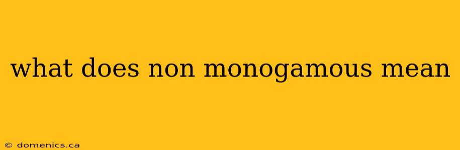 what does non monogamous mean