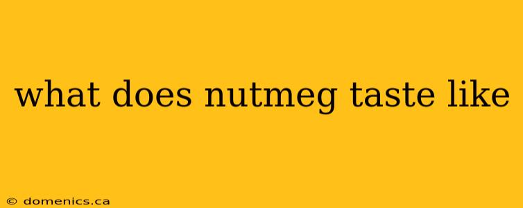 what does nutmeg taste like