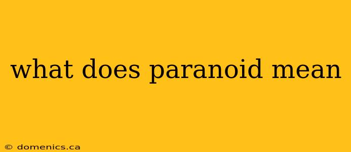 what does paranoid mean