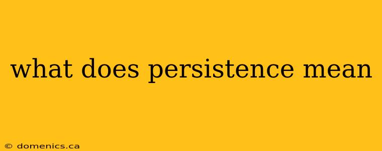 what does persistence mean