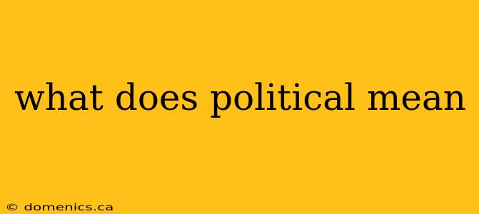 what does political mean