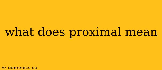 what does proximal mean