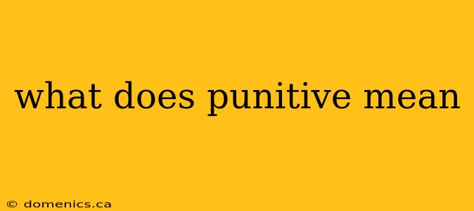 what does punitive mean