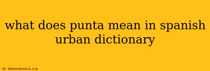 what does punta mean in spanish urban dictionary