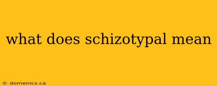 what does schizotypal mean