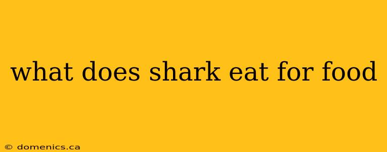 what does shark eat for food