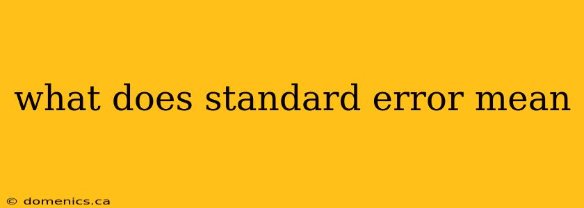 what does standard error mean