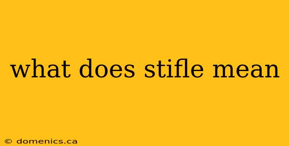 what does stifle mean