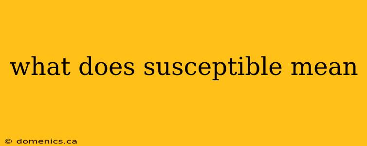 what does susceptible mean