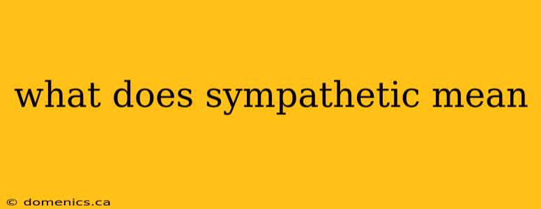 what does sympathetic mean