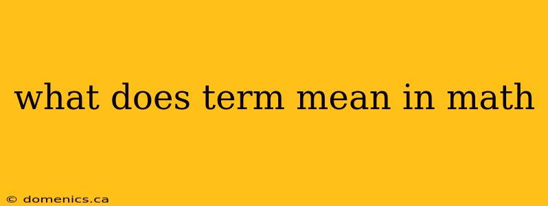 what does term mean in math