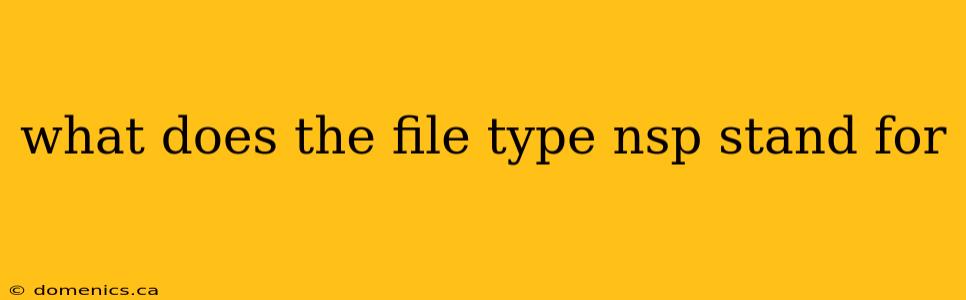 what does the file type nsp stand for