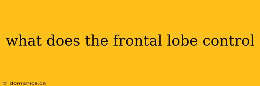 what does the frontal lobe control