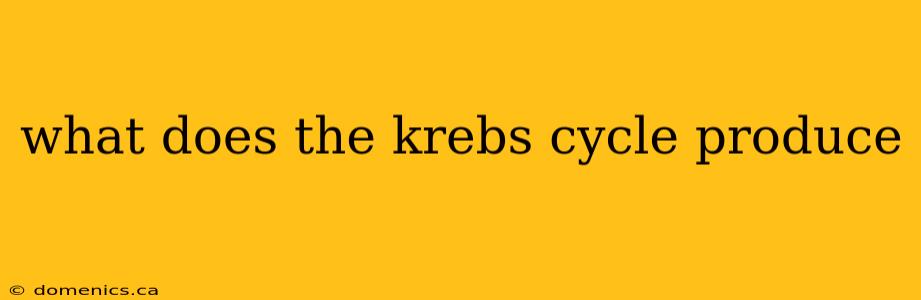 what does the krebs cycle produce