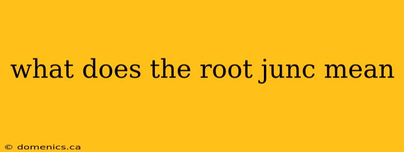 what does the root junc mean