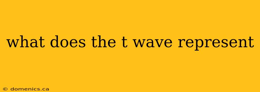 what does the t wave represent