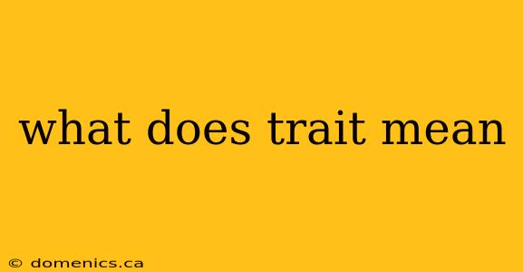 what does trait mean