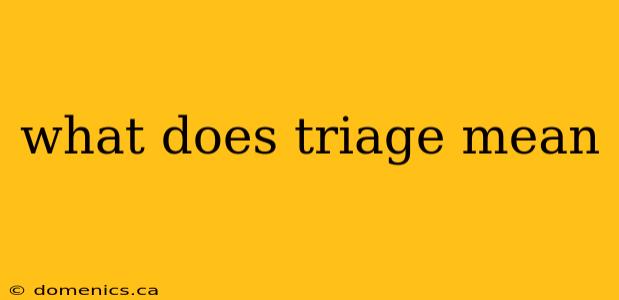 what does triage mean