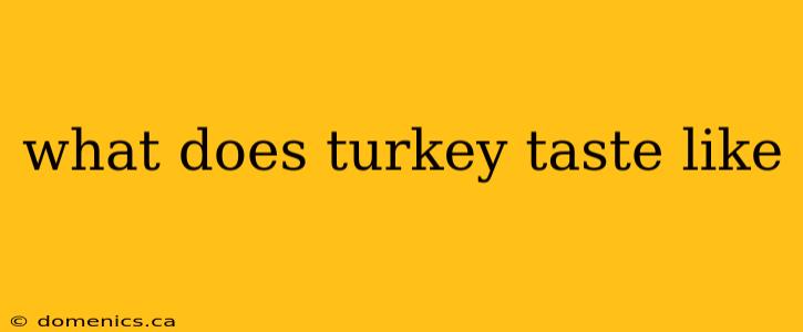 what does turkey taste like