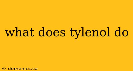 what does tylenol do