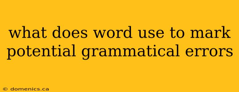 what does word use to mark potential grammatical errors