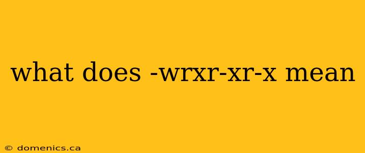 what does -wrxr-xr-x mean