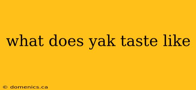 what does yak taste like