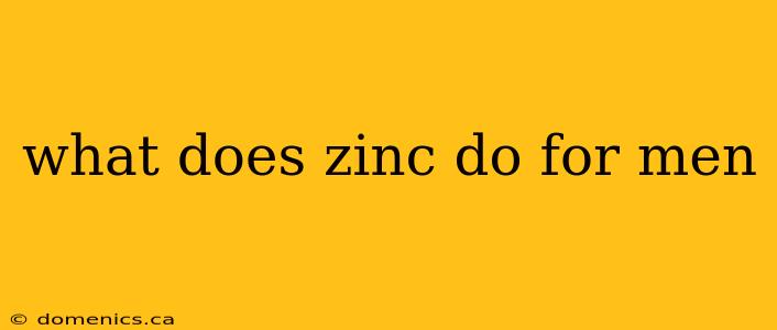 what does zinc do for men