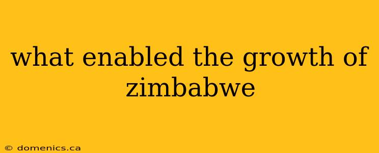 what enabled the growth of zimbabwe