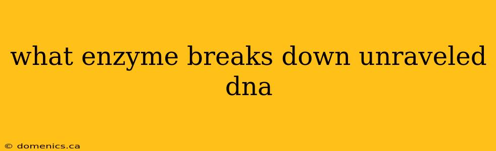 what enzyme breaks down unraveled dna