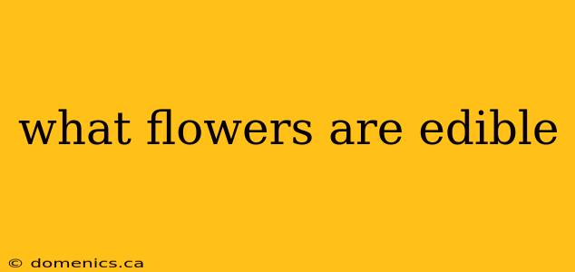 what flowers are edible