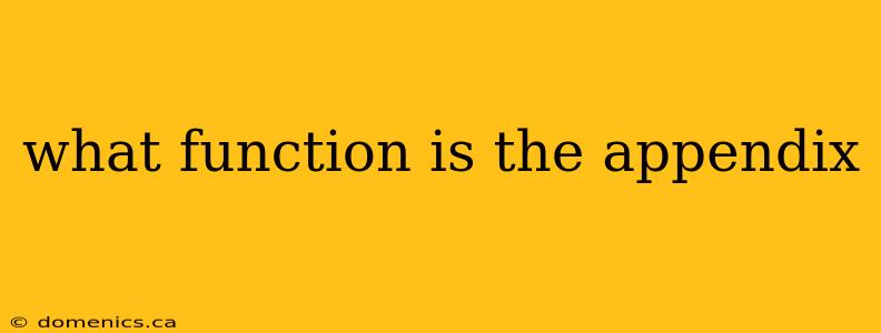 what function is the appendix