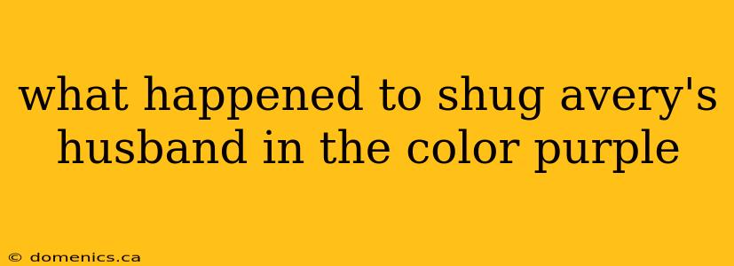 what happened to shug avery's husband in the color purple